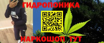 крисы Жуковский