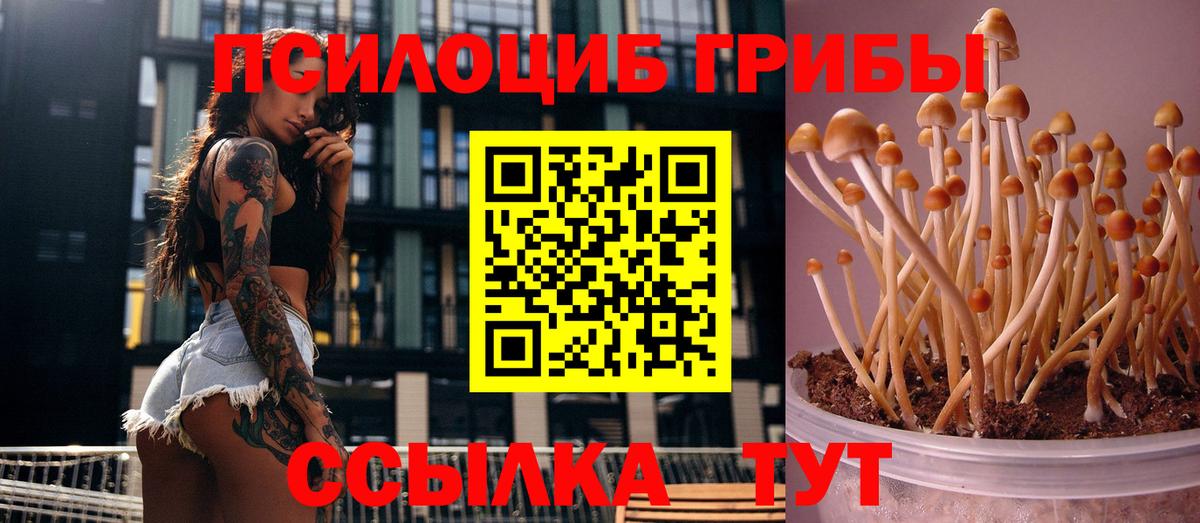 Галлюциногенные грибы мицелий Можга