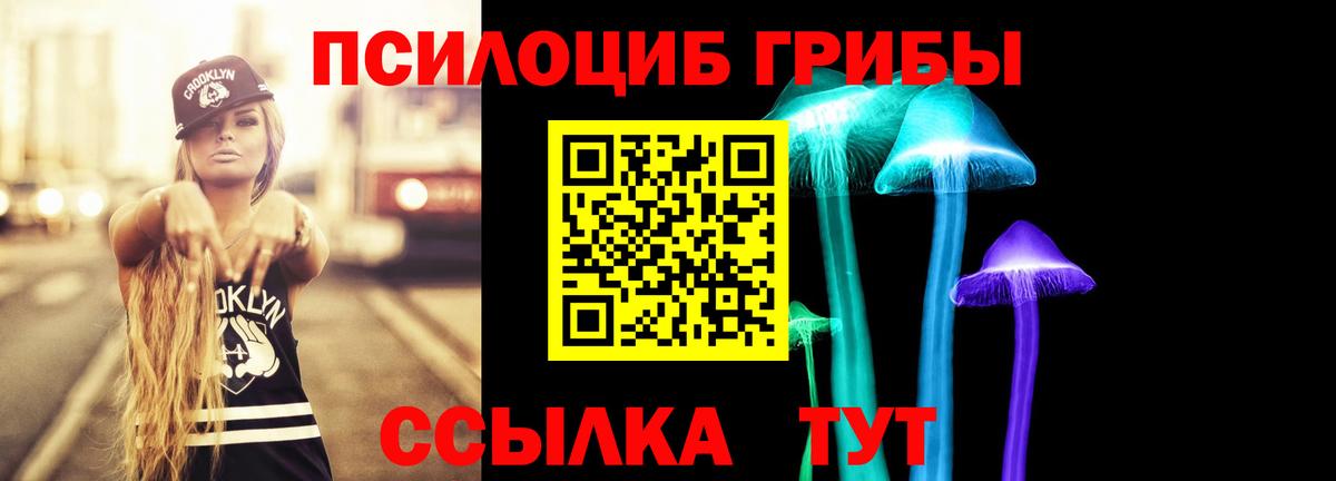 Псилоцибиновые грибы Psilocybine cubensis  Вход с VPN  Галлюциногенные грибы Psilocybe  Можга 